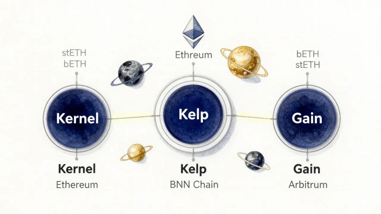 What is KernelDAO (KERNEL) Crypto Coin? A Clear Guide to Restaking and Multi-Chain Yield