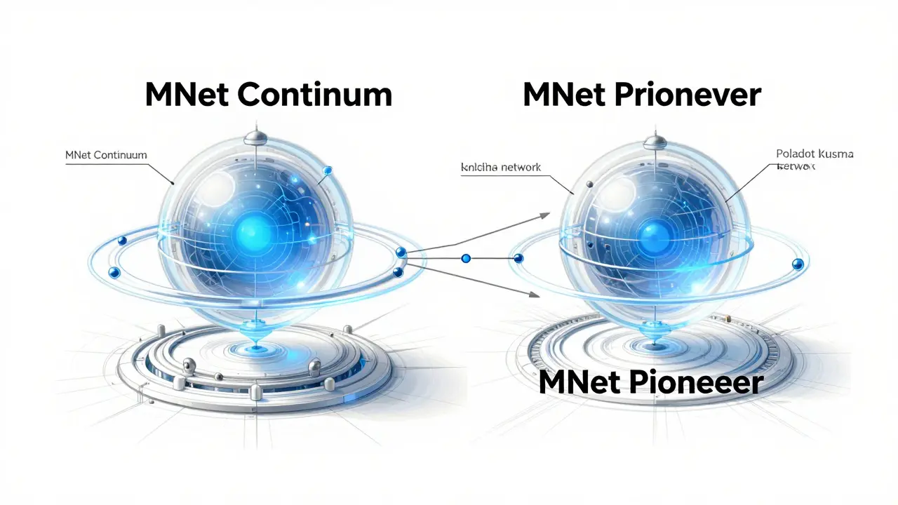 NUUM Token Airdrop Guide: Bit.Country and MNet Distribution Details