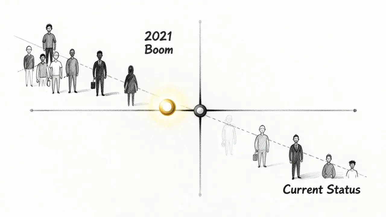 Technical sketch of crypto project timeline decline